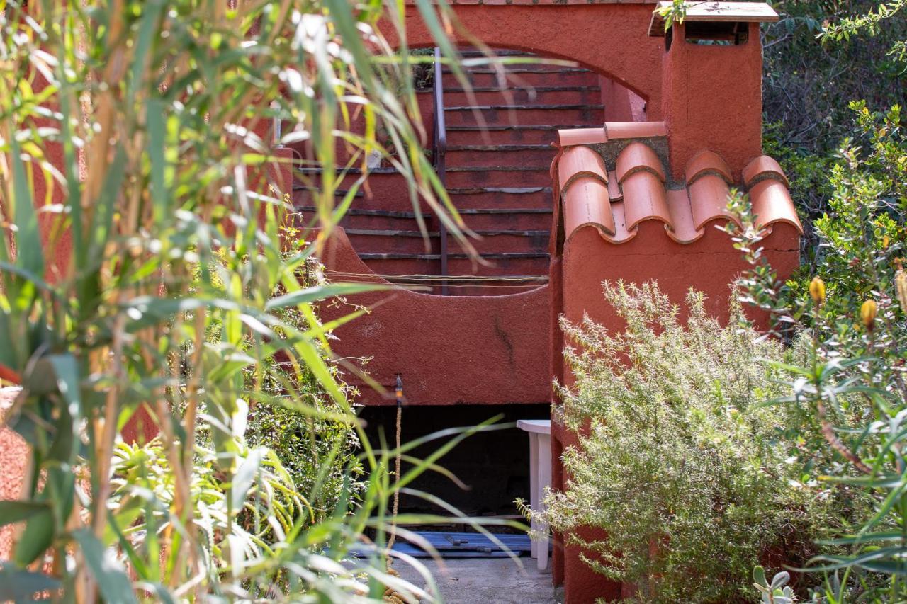 Villa Bougainvilliers Banyuls-sur-Mer Exterior photo